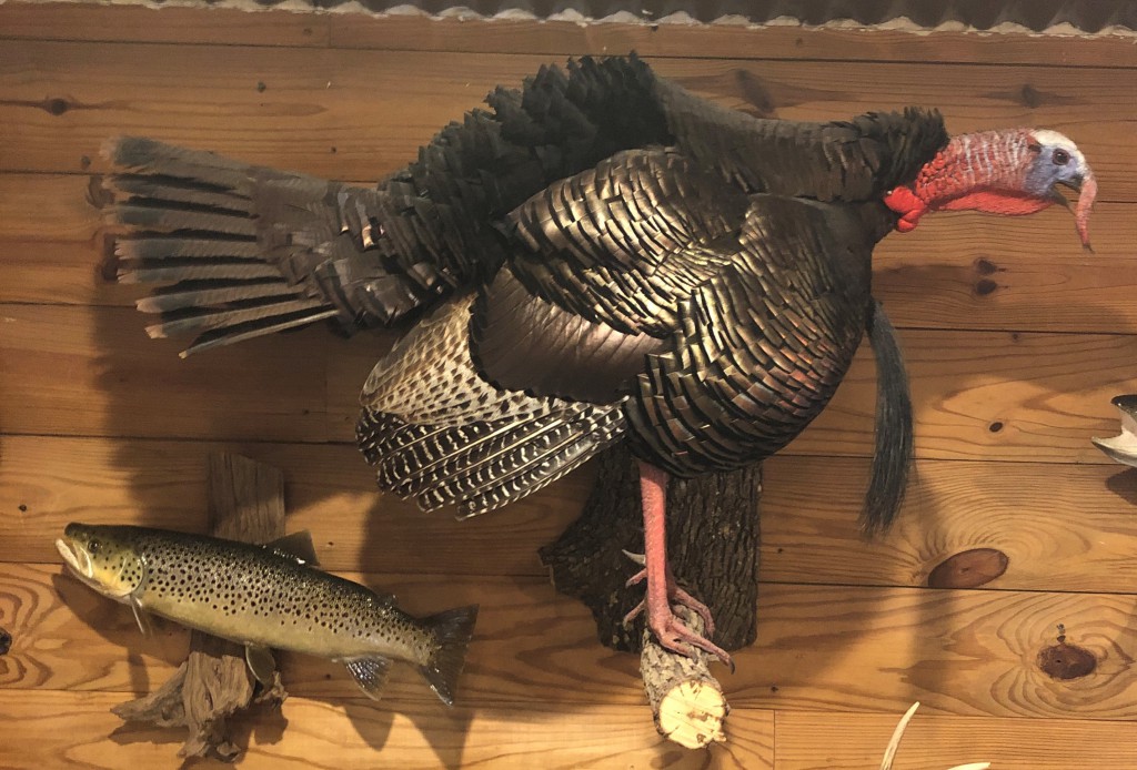 turkey